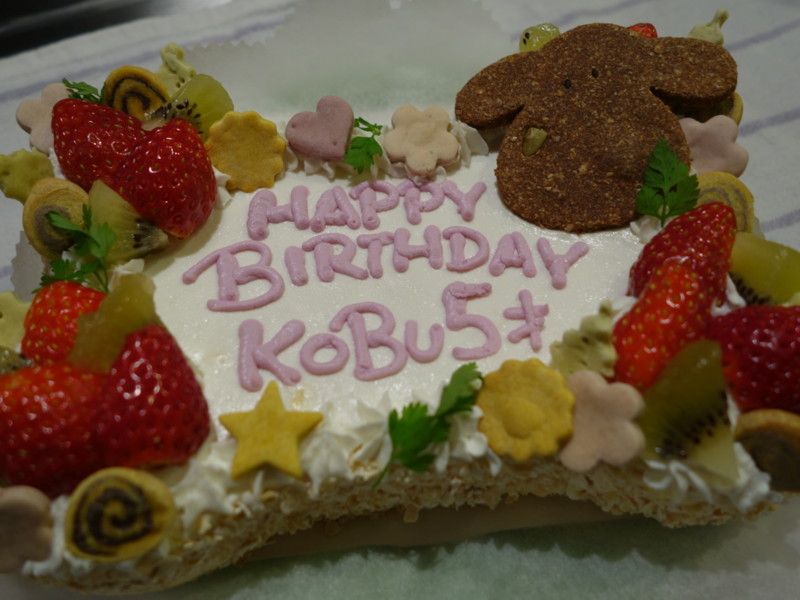 f:id:kobumakidays:20131209204540j:image