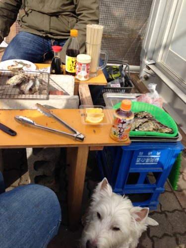 f:id:kobumakidays:20131223120651j:image