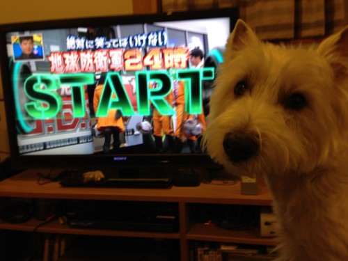 f:id:kobumakidays:20131231184015j:image