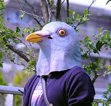 f:id:kobutorihato:20191021023440j:plain