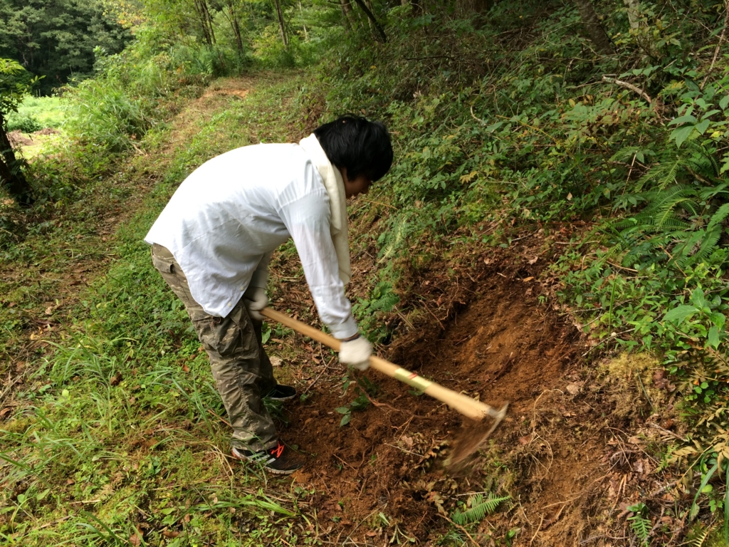 f:id:kobutorisinsi:20160903233043j:plain f:id:kobutorisinsi:20160903233043j:plain