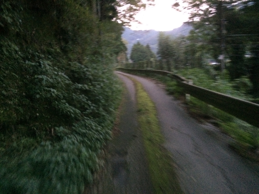 f:id:kobutorisinsi:20161021202217j:plain f:id:kobutorisinsi:20161021202217j:plain