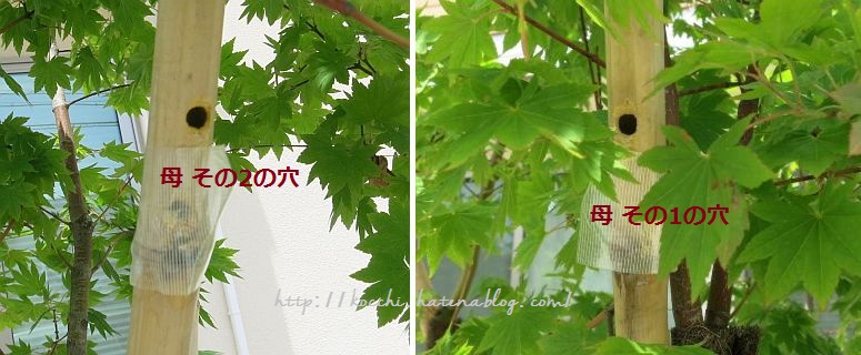 f:id:kocchi130:20160508113545j:plain f:id:kocchi130:20160508113545j:plain