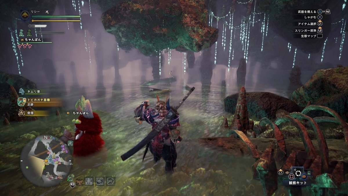 Mhwi ワダツミノツカイの場所と捕まえ方 重要バウンティ 調査協力 謎の魚の捕獲 まったり庭