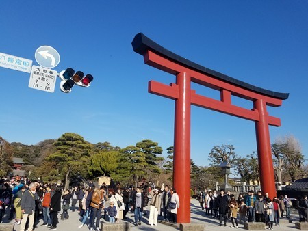 f:id:kochihime:20190119142206j:image f:id:kochihime:20190119142206j:image