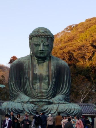 f:id:kochihime:20190119161238j:image f:id:kochihime:20190119161238j:image