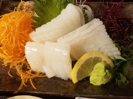 f:id:kochihime:20190119183216j:image f:id:kochihime:20190119183216j:image