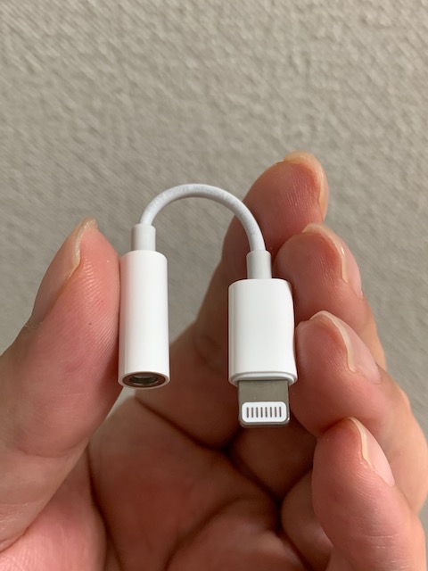 f:id:kochin-kun:20190828200855j:plain