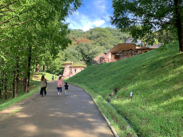 f:id:kochin-kun:20190924201350j:plain