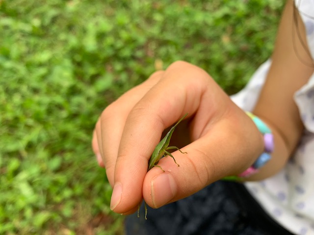 f:id:kochin-kun:20190924203432j:plain