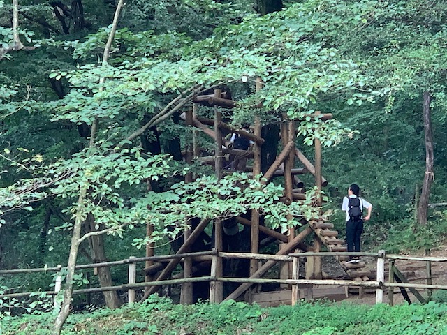 f:id:kochin-kun:20190924210144j:plain