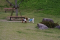 20120520143545