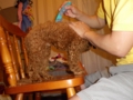 20121005195229