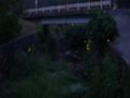 20130525195913