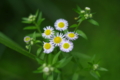 20130602143254