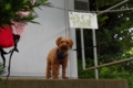 20130602144718