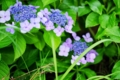 20130621175745