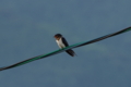 20130806062450