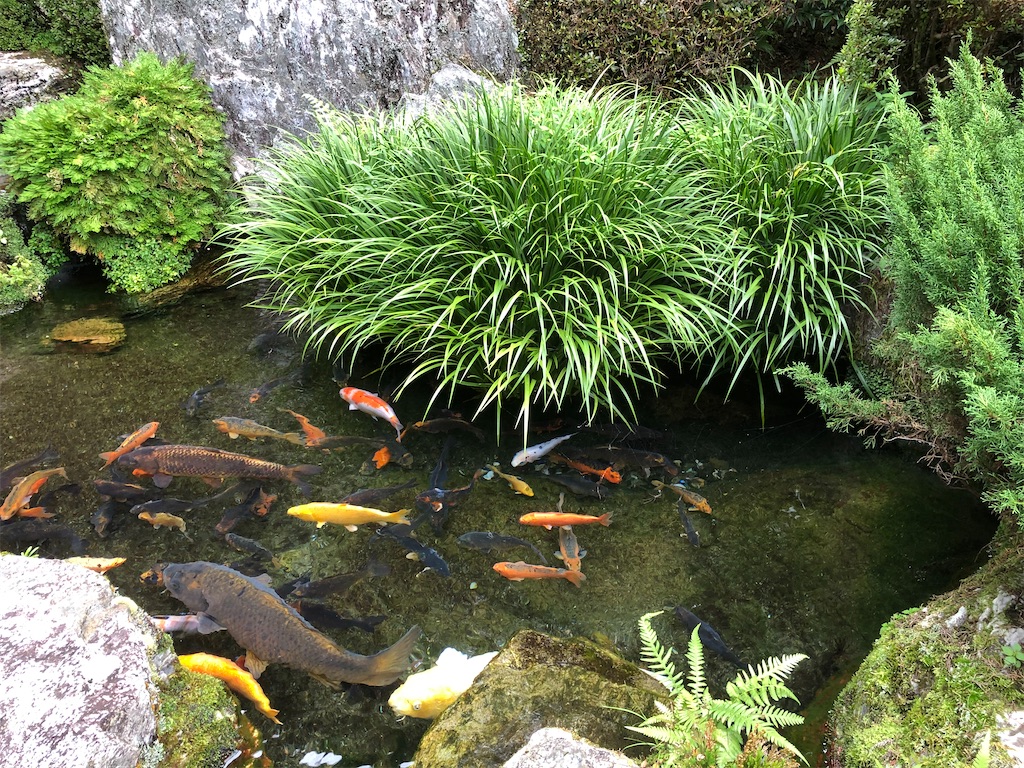 f:id:kochinanitabe:20200923013417j:plain