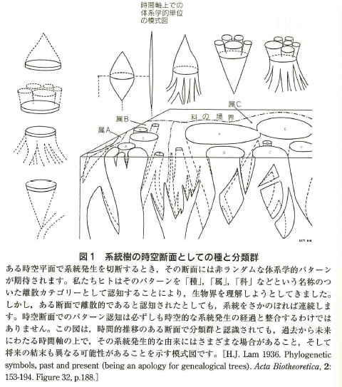 f:id:kocho-3:20170105084857p:plain