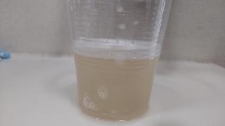 f:id:kocomeru:20230207193837j:image