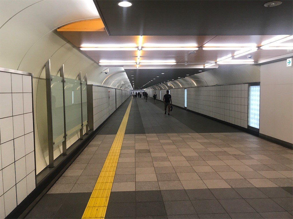 f:id:kocoronoblue:20180525150612j:image