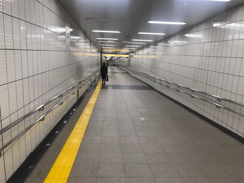 f:id:kocoronoblue:20180525151510j:image