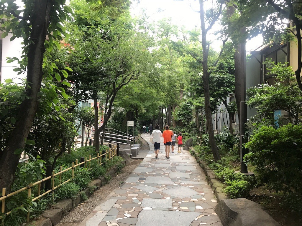 f:id:kocoronoblue:20180525153313j:image