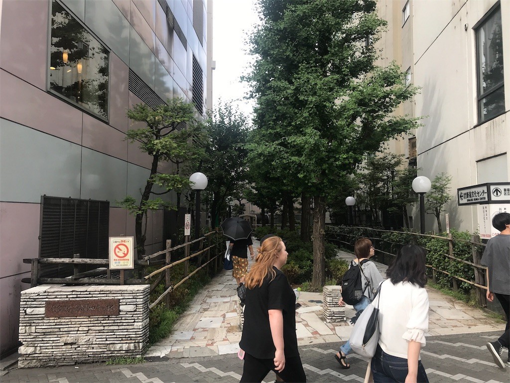 f:id:kocoronoblue:20180525153457j:image