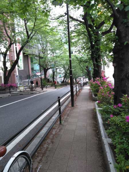 f:id:kocrisp:20190429225836j:plain f:id:kocrisp:20190429225836j:plain