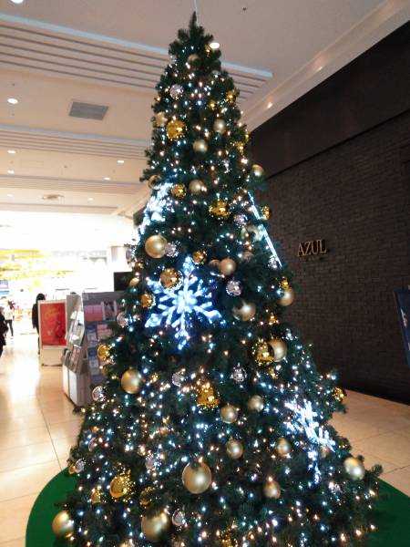 f:id:kocrisp:20191226003041j:plain f:id:kocrisp:20191226003041j:plain