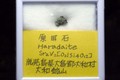 20010101003324