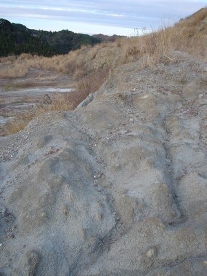 f:id:kocteau:20040111163120j:image