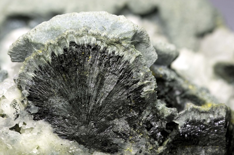 f:id:kocteau:20070507213600j:image f:id:kocteau:20070507213600j:image