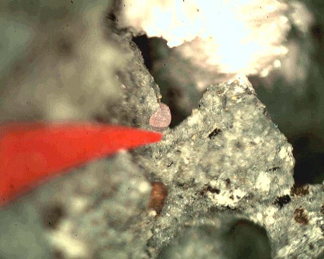 f:id:kocteau:20070509210109j:image