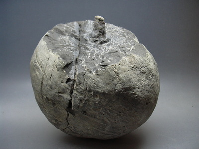 f:id:kocteau:20071028144930j:image