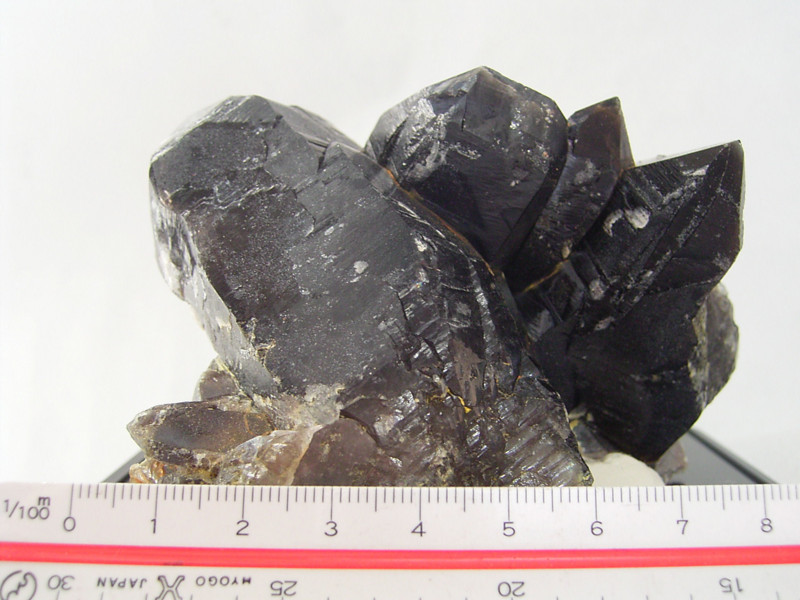 f:id:kocteau:20100426095143j:image