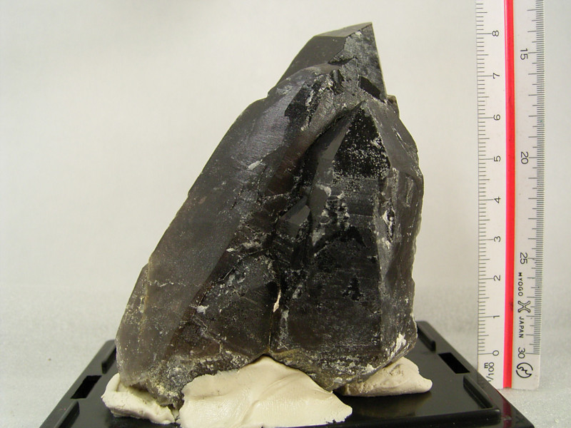 f:id:kocteau:20100426095152j:image