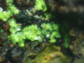 20110507184258