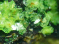 20110507184336