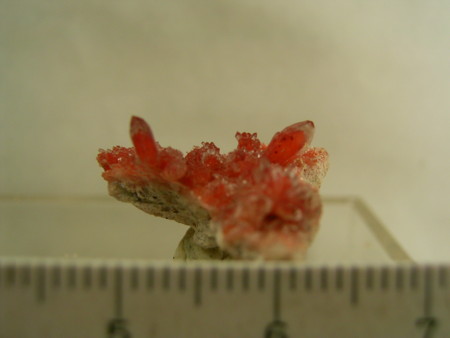 f:id:kocteau:20120406140508j:image