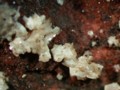20120526214202