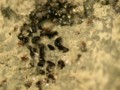 20120526220159