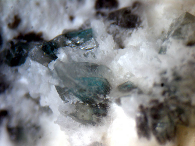 沼野石　布賀鉱山 沼野石 Numanoite(TL) 岡山県高梁市布賀鉱山 Fuka Mine, Takahashi