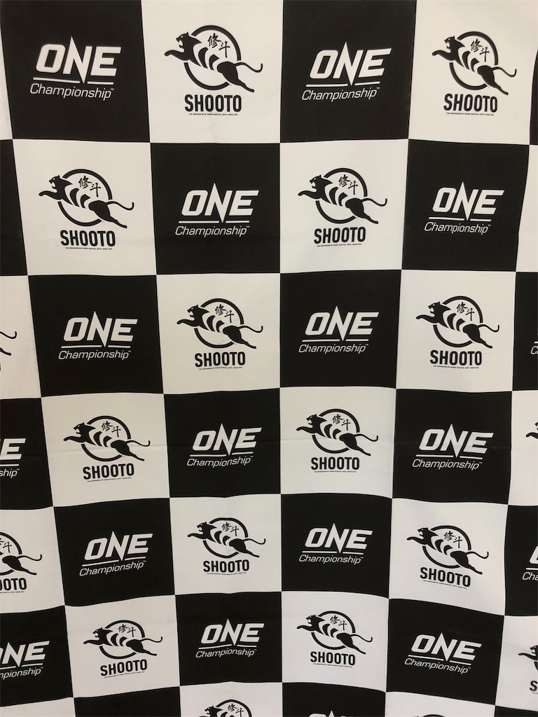 f:id:kocyanmma:20190507090931j:image