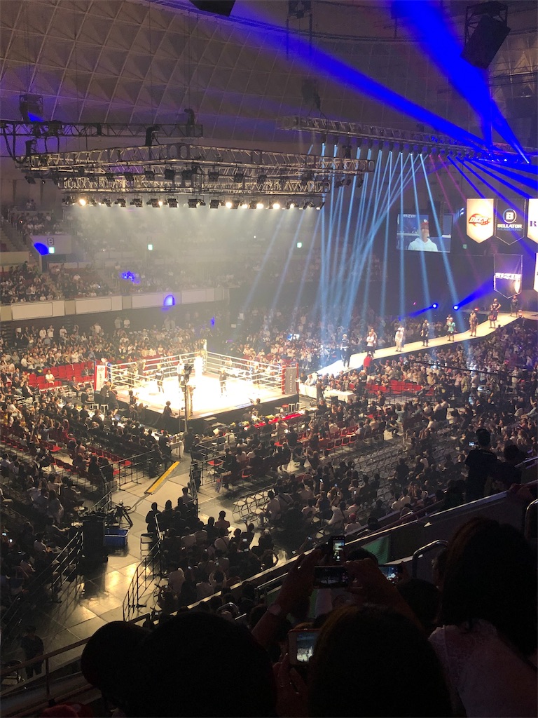 f:id:kocyanmma:20190606144825j:image