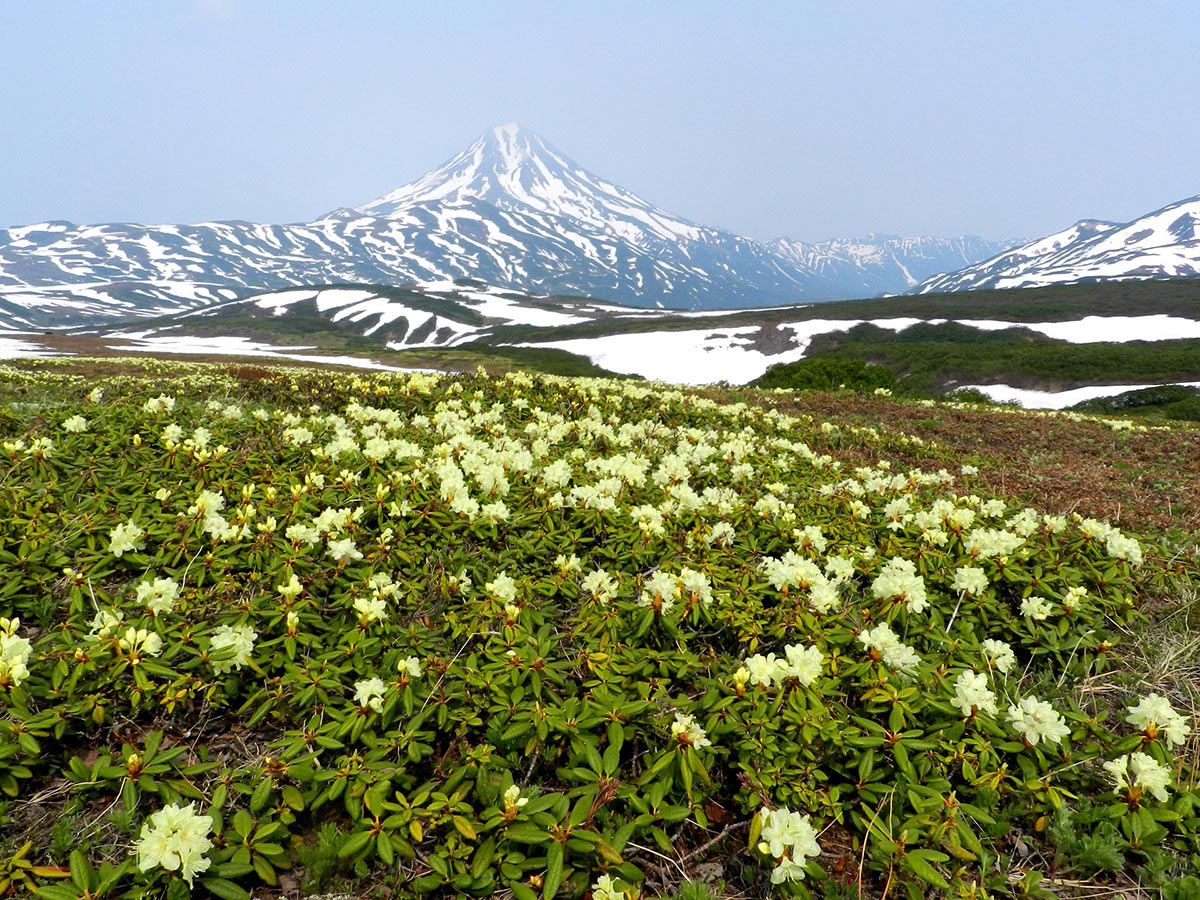 f:id:kodai795:20200818185231j:plain f:id:kodai795:20200818185231j:plain