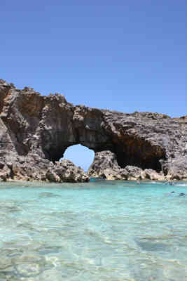 f:id:kodaij:20100719110921j:image f:id:kodaij:20100719110921j:image