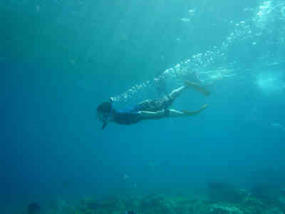 f:id:kodaij:20100901100331j:image f:id:kodaij:20100901100331j:image