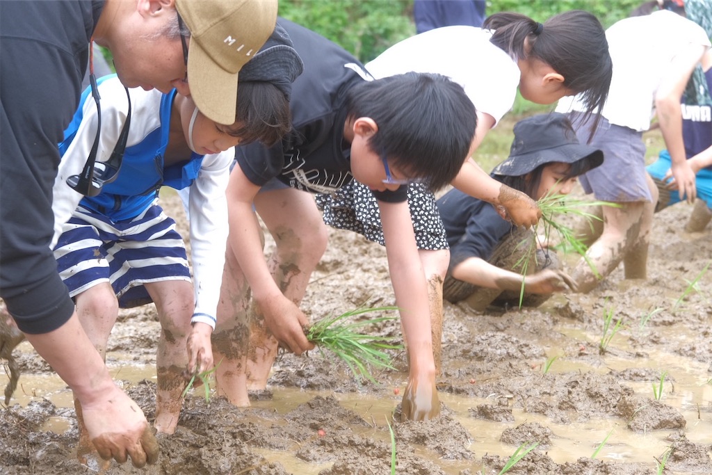 f:id:kodaira5bvs:20260705165754j:image